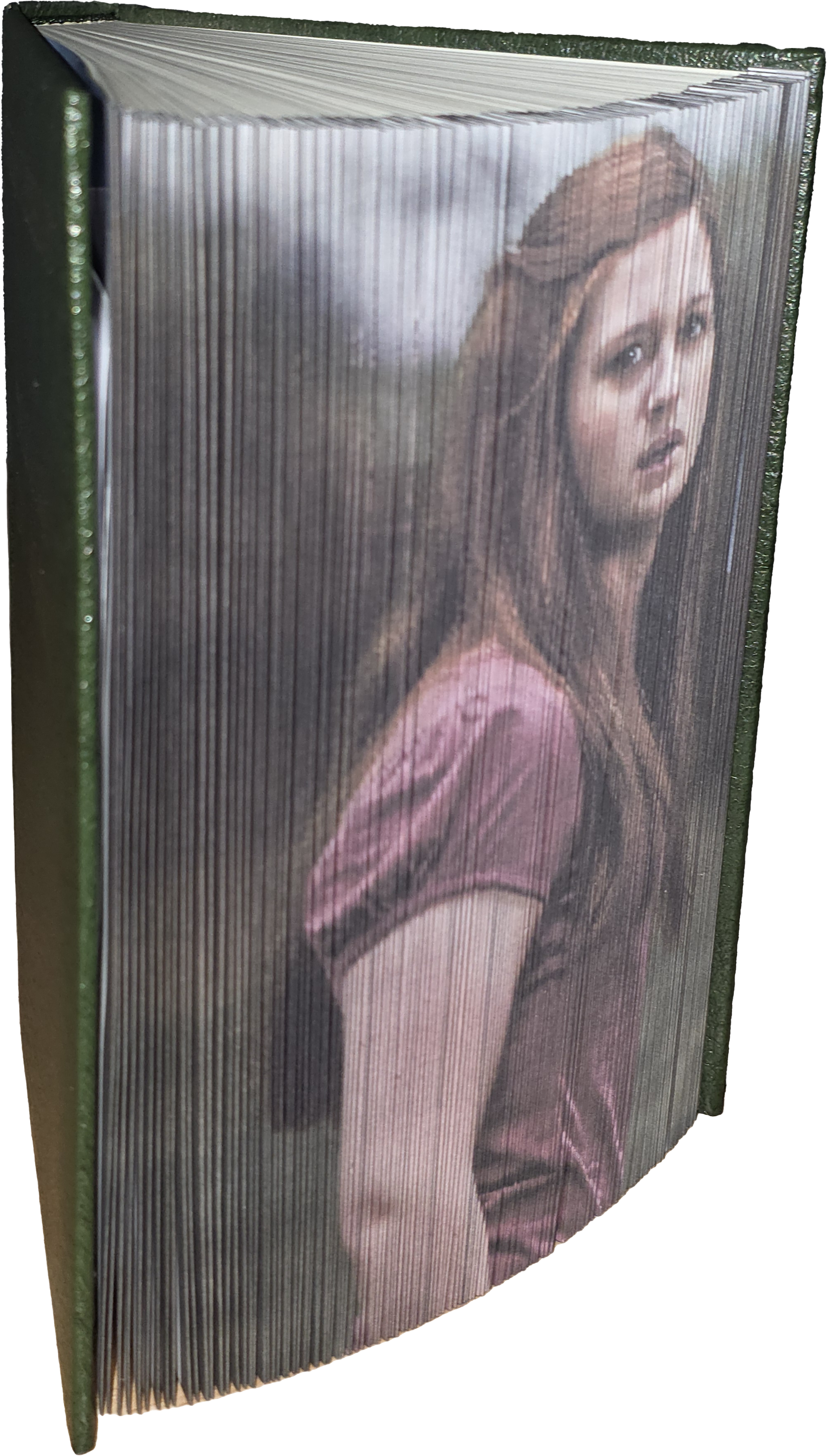 Livre avec art sur tranche, vue de gauche
